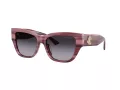 Jimmy Choo JC 5039BU 50648G 54 Women sunglasses
