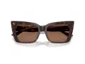 Jimmy Choo JC 5041 500273 54 Women sunglasses