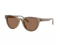 Jimmy Choo JC 5043D 505173 53 Women sunglasses