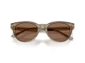 Jimmy Choo JC 5043D 505173 53 Women sunglasses