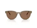 Jimmy Choo JC 5043D 505173 53 Women sunglasses