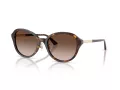 Jimmy Choo JC 5044D 500213 54 Women sunglasses