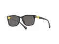 Miraflex MF 1040 M564 52 Men sunglasses