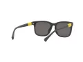 Miraflex MF 1040 M564 52 Men sunglasses