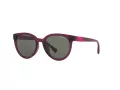 Miraflex MF 1041 M570 49 Men, Women sunglasses