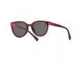 Miraflex MF 1041 M570 49 Men, Women sunglasses