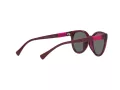 Miraflex MF 1041 M570 49 Men, Women sunglasses