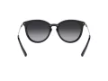 Michael Kors Brisbane MK 1077 1014/T3 54 Women sunglasses
