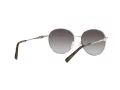 Michael Kors Alpine MK 1119 1014/8G 57 Women sunglasses