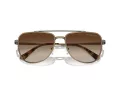 Michael Kors Whistler MK 1155 100113 58 Men sunglasses