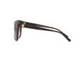 Michael Kors Jan MK 2045 3006/13 55 Women sunglasses
