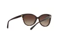 Michael Kors Jan MK 2045 3006/13 55 Women sunglasses