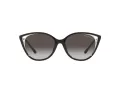 Michael Kors Alexandria MK 2152U 3005/8G 55 Women sunglasses