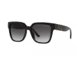 Michael Kors Karlie MK 2170U 3005/8G 54 Women sunglasses