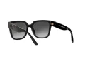 Michael Kors Karlie MK 2170U 3005/8G 54 Women sunglasses