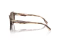 Michael Kors Eger MK 2216U 39776I 52 Men sunglasses
