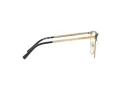 Michael Kors Nao MK 3018 1195 54 Women glasses