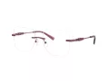 Michael Kors Giverny MK 3078 1015 54 Women glasses