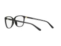 Michael Kors Santa Clara MK 4067U 3005 57 Women glasses