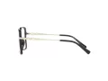 Michael Kors Dolonne MK 4095U 3005 53 Women glasses