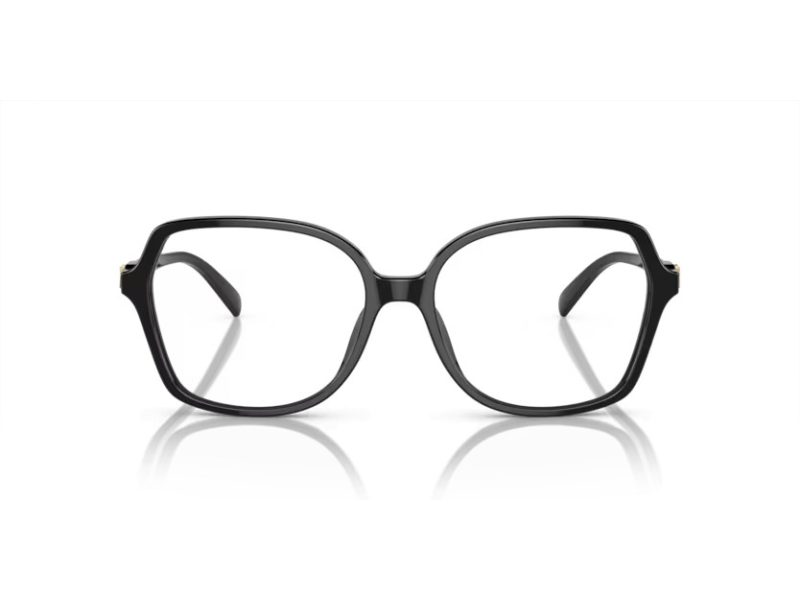 Michael Kors Bernal MK 4111U 3005 54 Women glasses
