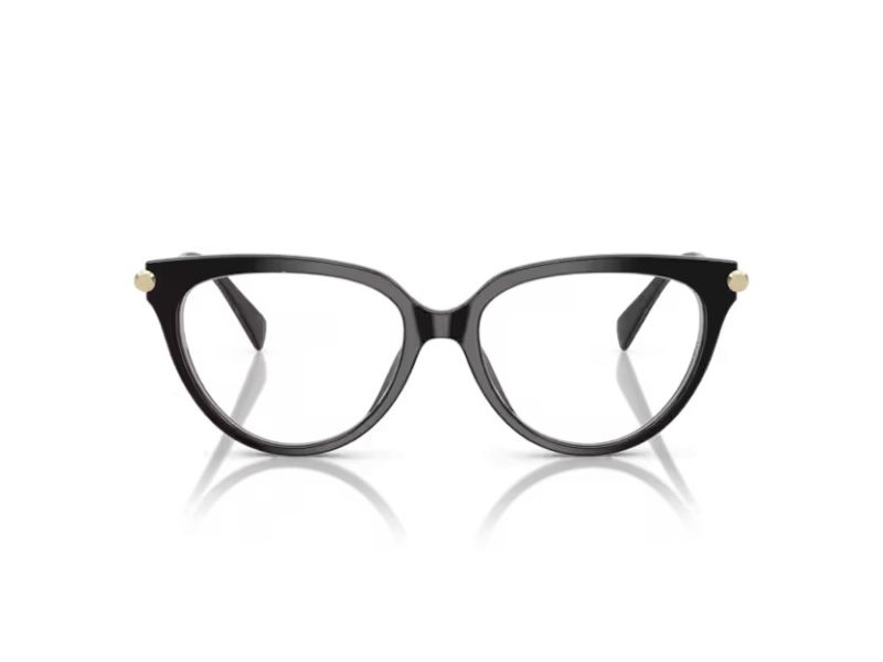Michael Kors Windham MK 4151U 3005 53 Women glasses