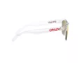 Oakley Frogskins Xs OJ 9006 19 53 Children sunglasses