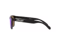 Oakley Frogskins Xs OJ 9006 27 53 Children sunglasses