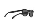 Oakley Frogskins Xs OJ 9006 31 53 Children sunglasses