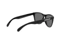 Oakley Frogskins OO 9013 24-306 55 Men, Women sunglasses