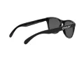 Oakley Frogskins OO 9013 C4 55 Men sunglasses