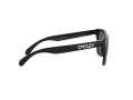 Oakley Frogskins OO 9013 C4 55 Men sunglasses
