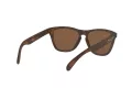 Oakley Frogskins OO 9013 C5 55 Men, Women sunglasses