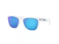 Oakley Frogskins OO 9013 D0 55 Men sunglasses