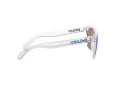 Oakley Frogskins OO 9013 D0 55 Men sunglasses