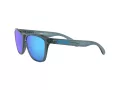 Oakley Frogskins OO 9013 F6 55 Men sunglasses