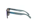 Oakley Frogskins OO 9013 F6 55 Men sunglasses