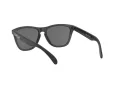 Oakley Frogskins OO 9013 F7 55 Men sunglasses