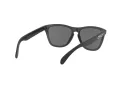 Oakley Frogskins OO 9013 F7 55 Men sunglasses