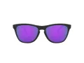 Oakley Frogskins OO 9013 H6 55 Men sunglasses