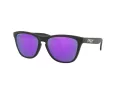 Oakley Frogskins OO 9013 H6 55 Men sunglasses