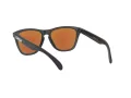 Oakley Frogskins OO 9013 H6 55 Men sunglasses