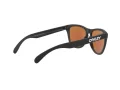 Oakley Frogskins OO 9013 H6 55 Men sunglasses