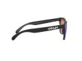 Oakley Frogskins OO 9013 H6 55 Men sunglasses
