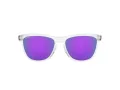 Oakley Frogskins OO 9013 H7 55 Men sunglasses