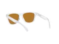 Oakley Frogskins OO 9013 H7 55 Men sunglasses
