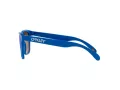 Oakley Frogskins OO 9013 J4 55 Men sunglasses