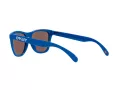 Oakley Frogskins OO 9013 J4 55 Men sunglasses