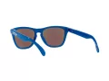 Oakley Frogskins OO 9013 J4 55 Men sunglasses