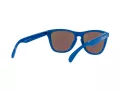 Oakley Frogskins OO 9013 J4 55 Men sunglasses
